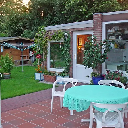 Zwergmoewe In Neue Tiefe